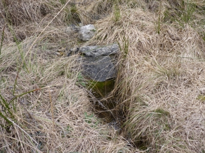 Fuente de Valdeavellano - imagen 1