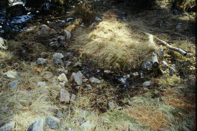 Fuente del Lobo - imagen 2