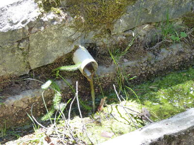 Fuente del Lobo - imagen 4