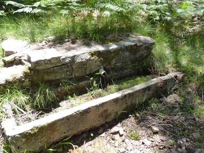 Fuente del Lobo - imagen 7