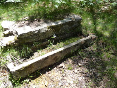Fuente del Lobo - imagen 3