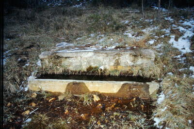 Fuente del Lobo - imagen 1