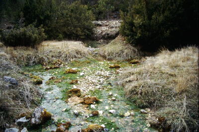 Fuente del Mailloso - imagen 1