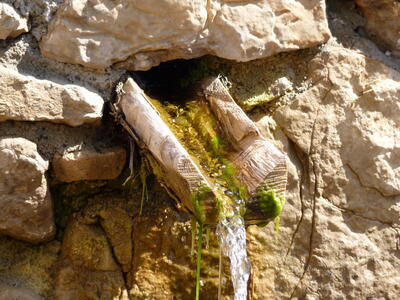 Fuente la Megina - imagen 6
