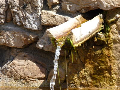 Fuente la Megina - imagen 7