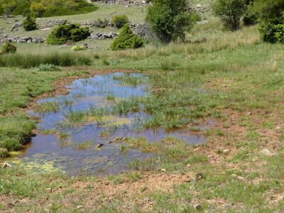 Fuente la Megina - imagen 8