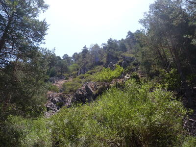 Manantiales de la Hoz I - imagen 6