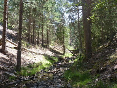Manantiales de la Hoz II - imagen 9