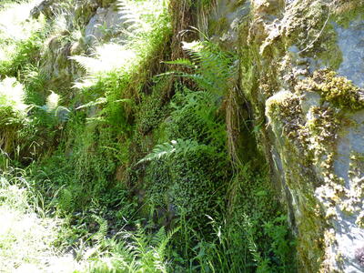 Manantiales de la Hoz III - imagen 6