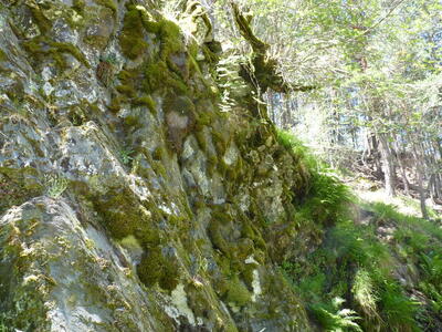 Manantiales de la Hoz III - imagen 7