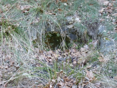 Fuente de la Chopa - imagen 2