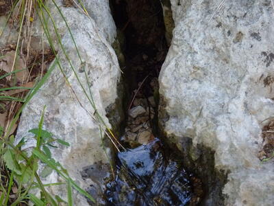 Fuente del Rollo II - imagen 6
