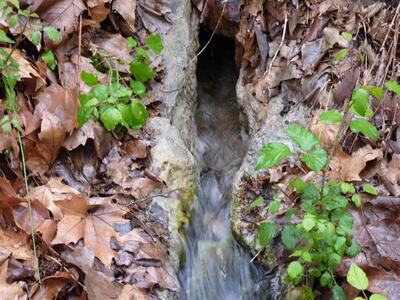Fuente del Rollo II - imagen 2