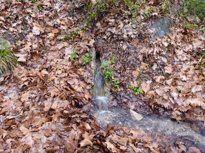 Fuente del Rollo II - imagen 1