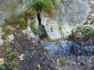 Fuente del Rollo II - imagen 7