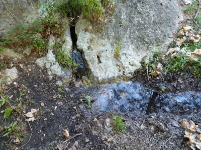 Fuente del Rollo II - imagen 3
