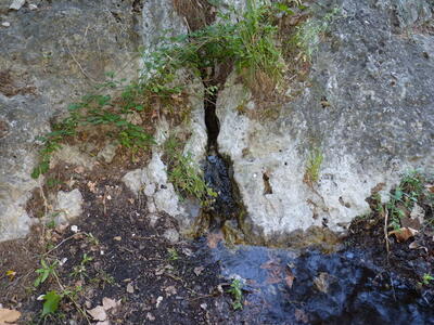 Fuente del Rollo II - imagen 5
