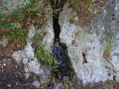 Fuente del Rollo II - imagen 4