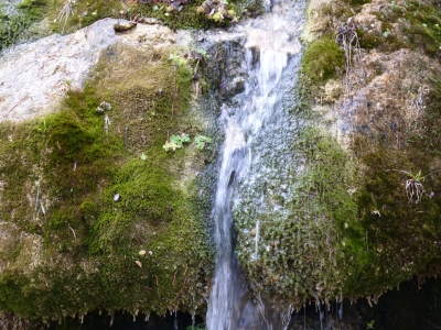 Fuente de la Toba - imagen 6