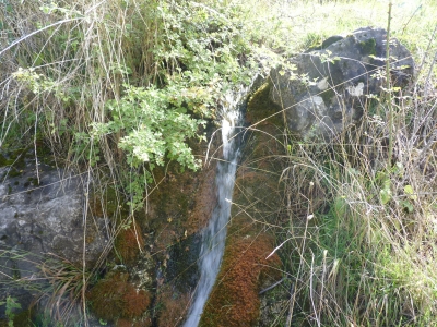 Fuente del Herrero - imagen 1