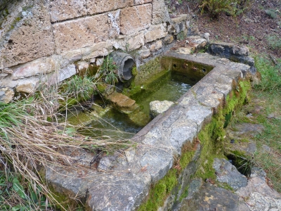 Fuente de las Vaquerizas - imagen 5