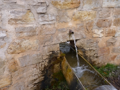 Fuente del albergue de la F. de las Tablas - imagen 3