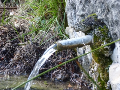 Fuente de los Canjorros - imagen 7