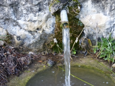 Fuente de los Canjorros - imagen 4