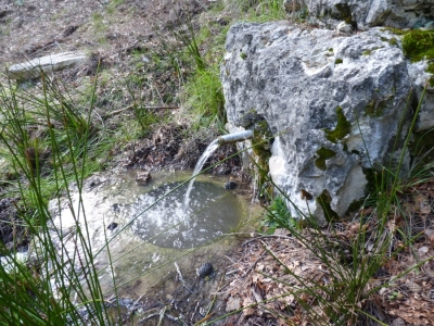 Fuente de los Canjorros - imagen 5