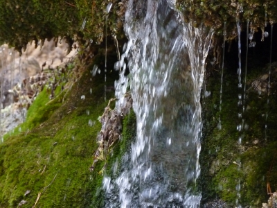 Fuente de la Toba - imagen 8